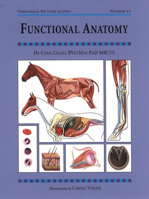 cover image of FUNCTIONAL ANATOMY